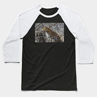 Leopard in a Tree Baseball T-Shirt